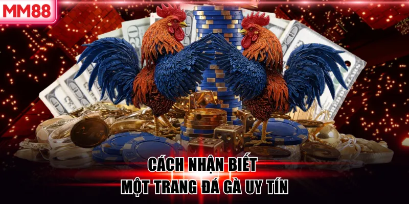 Top 6 Trang Đá Gà Uy Tín 2026 – Chọn Trang Cược An Toàn Cùng MM88 6 Cách nhận biết một trang đá gà uy tín